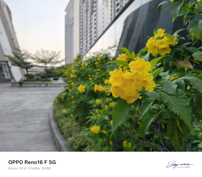 OPPO Reno16 F 5G - Hasil Kamera