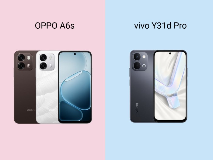 OPPO A6s vs vivo Y31d Pro