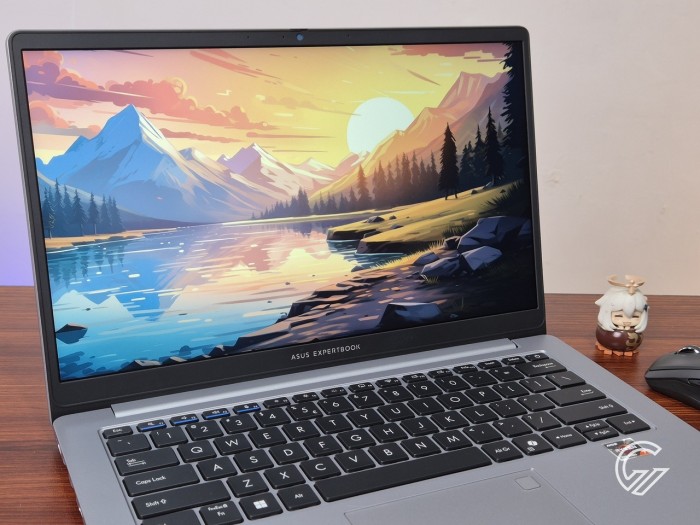 Review ASUS ExpertBook P1 PM1403CDA (2)