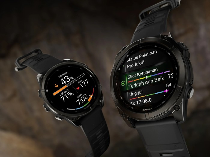 Garmin fenix 9 Series All