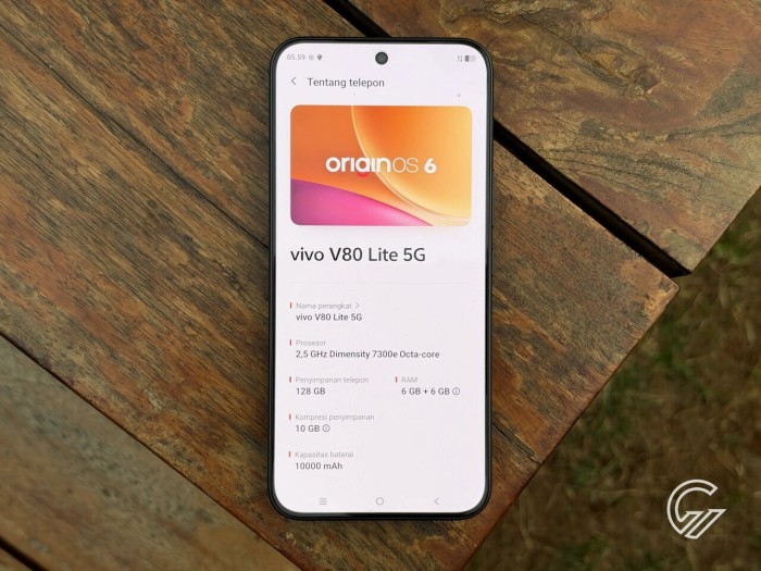 Launching vivo V80 Lite 5G (7)